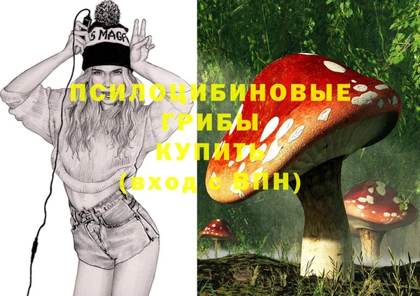 mdpv Балахна