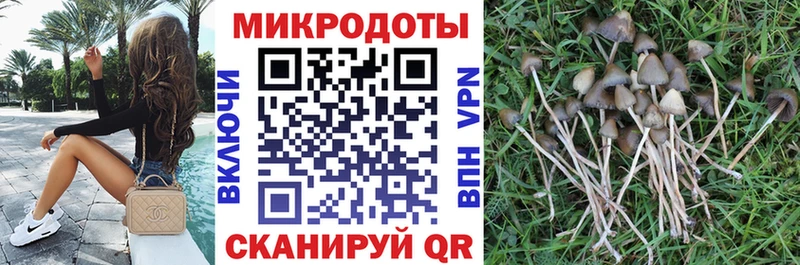 гидра как войти Калуга Псилоцибиновые грибы прущие грибы